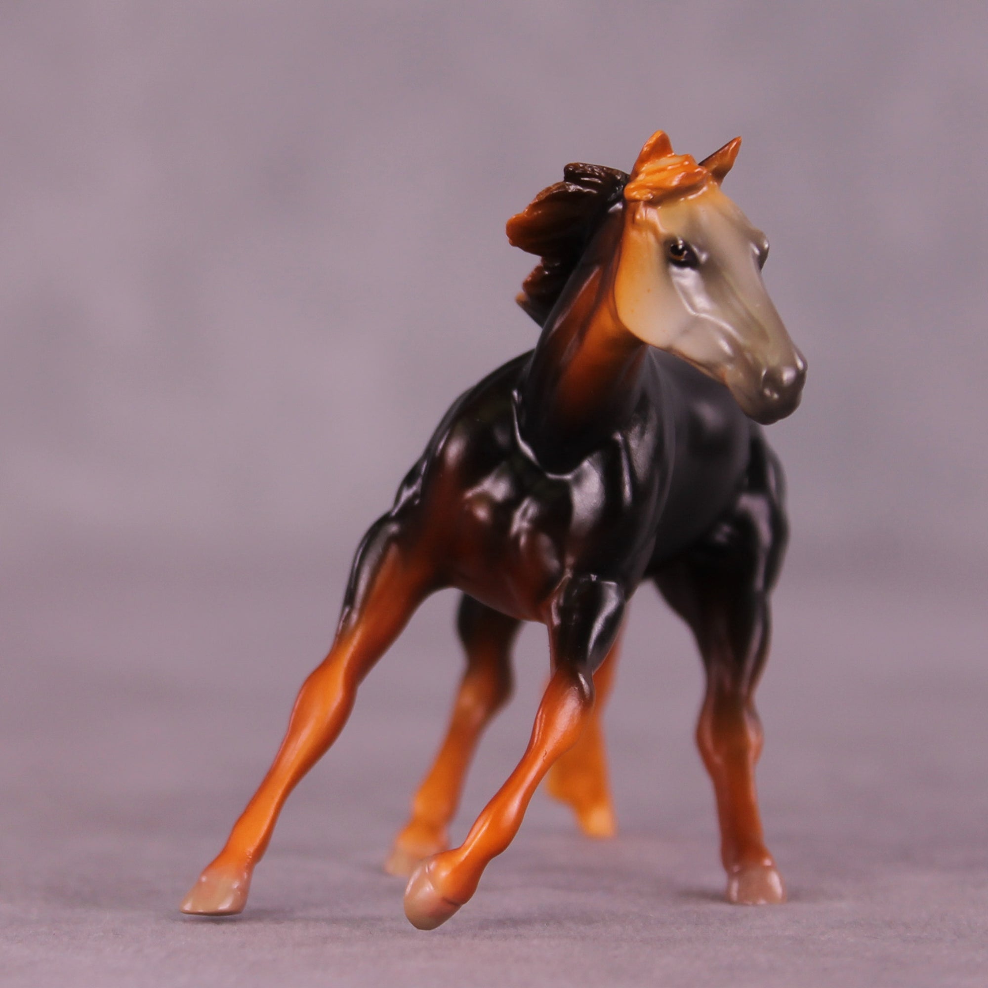 Chirripó LE-3 Chip Cutting Horse by Jess Hamill MS25