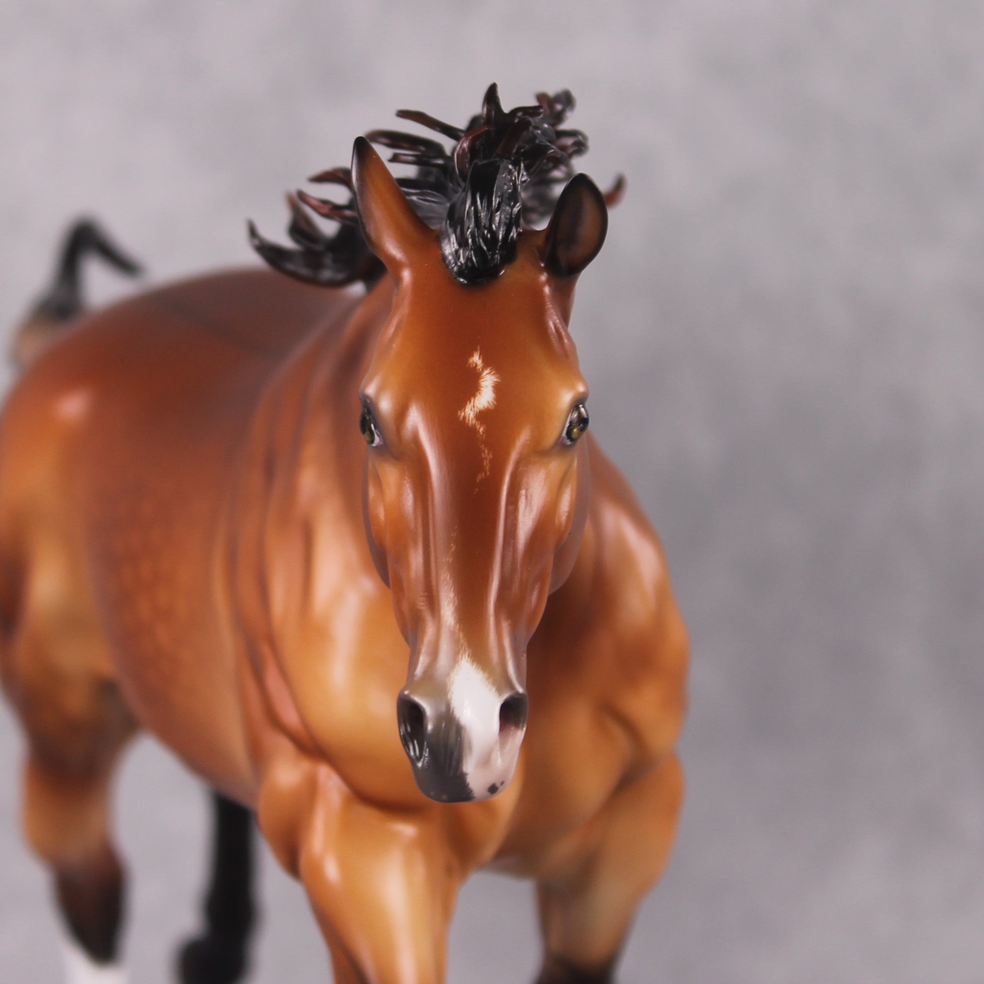 "Sturmfrei" OOAK FCM Remington By Ellen Robbins Best Offer 3/18/2025