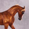 &quot;Grumpy Muffin&quot; OOAK FCM Thoroughbred By Kristen Cermele SHCF25 Best Offer 5/27/25