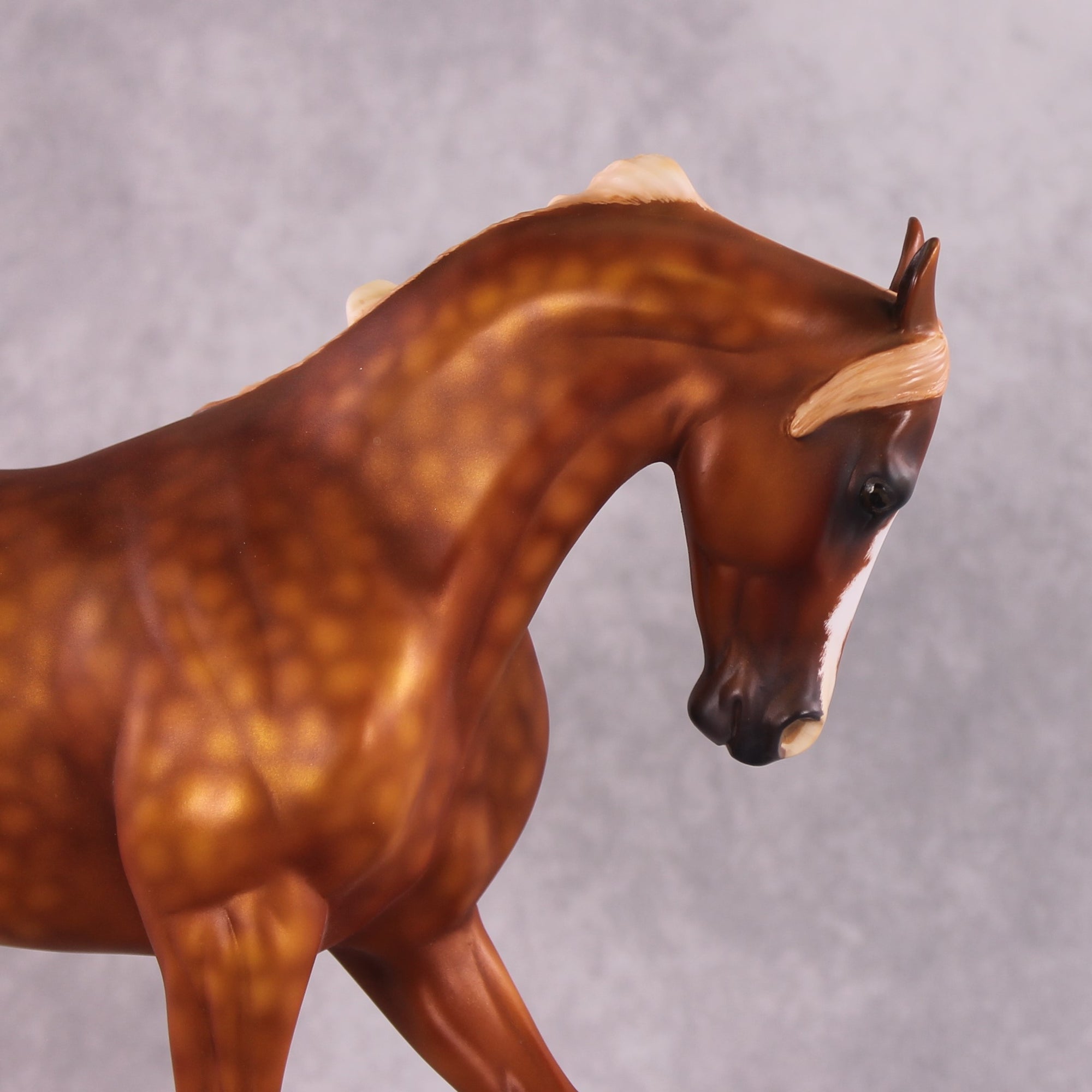 "Grumpy Muffin" OOAK FCM Thoroughbred By Kristen Cermele SHCF25 Best Offer 5/27/25