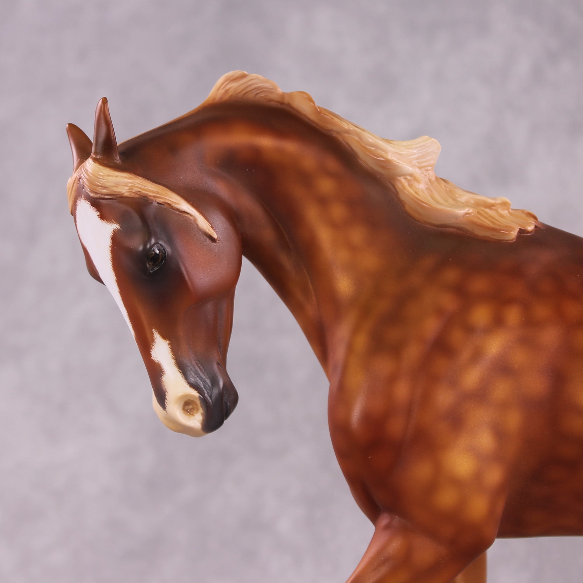 "Grumpy Muffin" OOAK FCM Thoroughbred By Kristen Cermele SHCF25 Best Offer 5/27/25