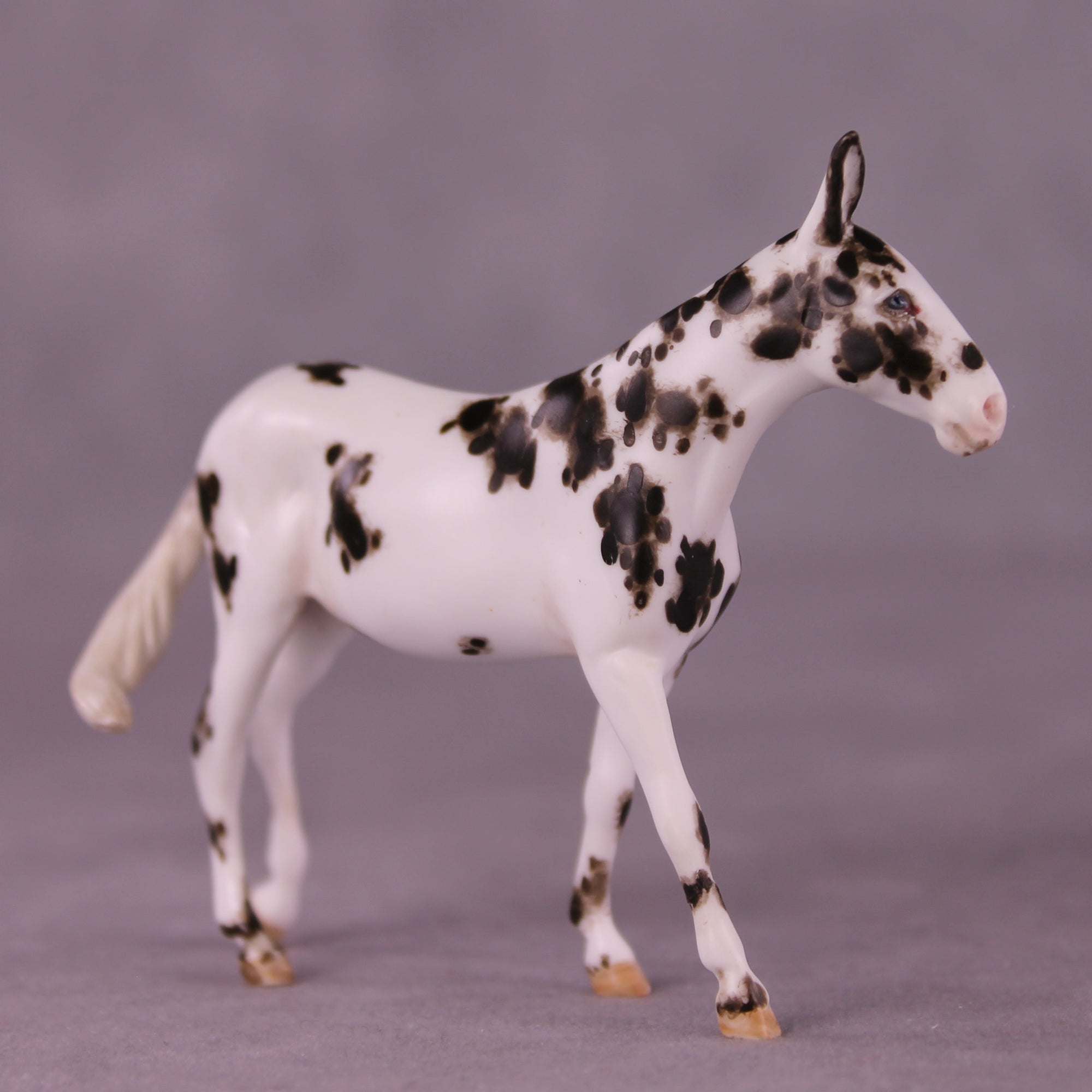 Vex OOAK FCM Chip Mule by Andrea Thomason MM25