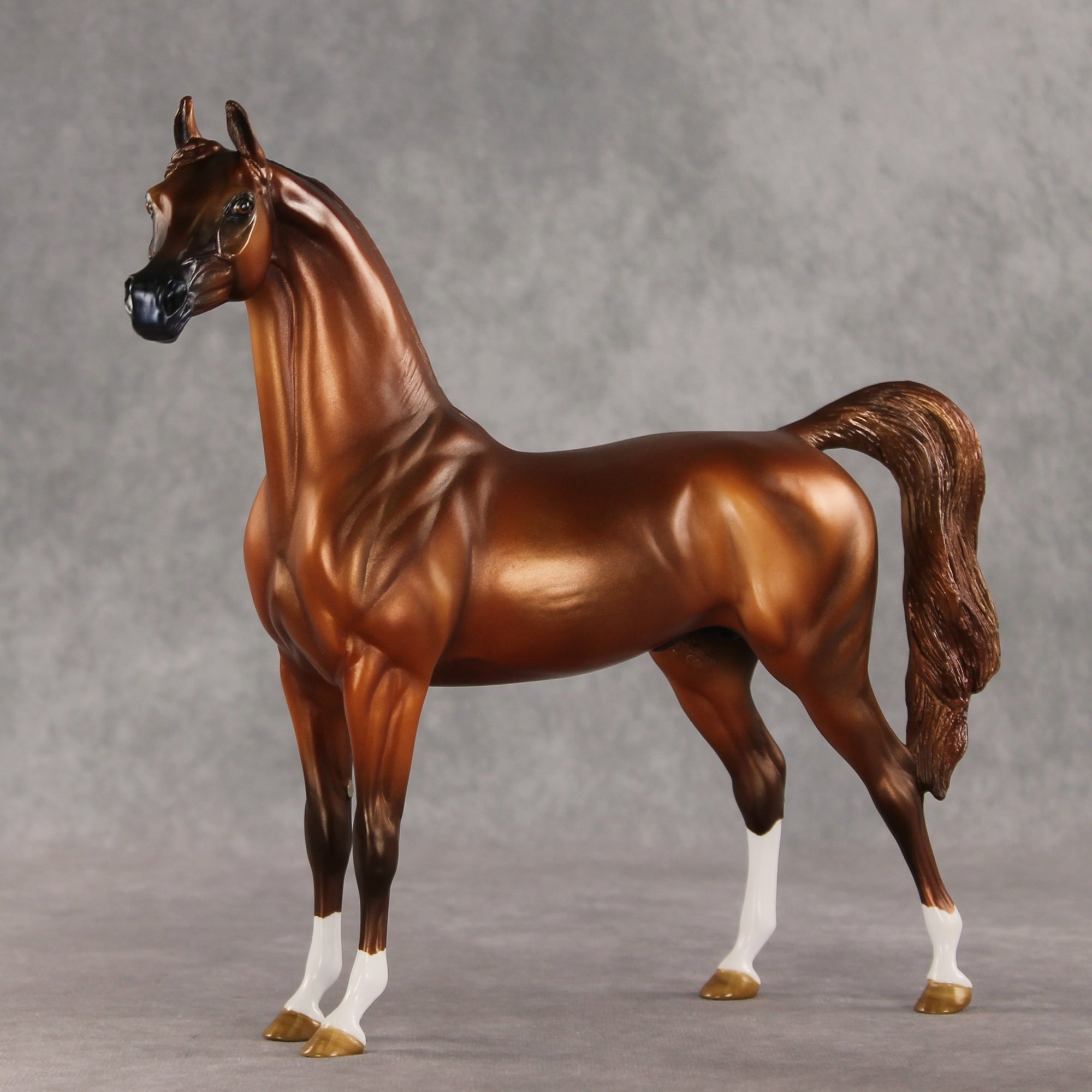 Cooper OOAK Arabian Stallion by Angela Marleau DDOOAKs26