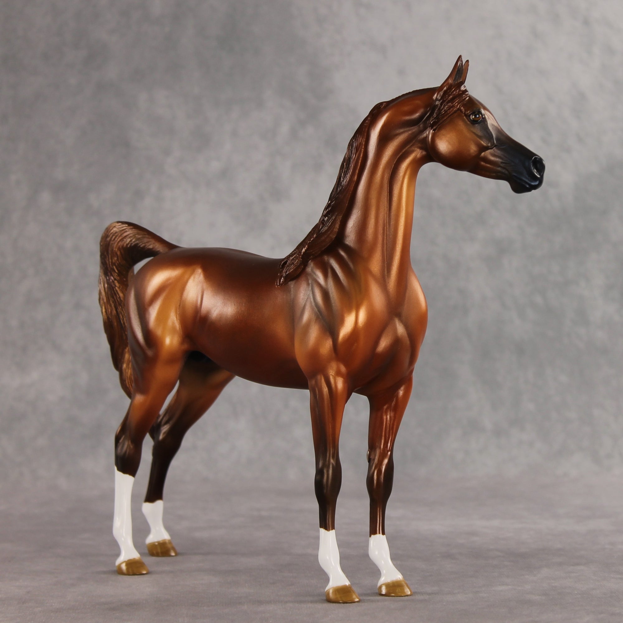 Cooper OOAK Arabian Stallion by Angela Marleau DDOOAKs26