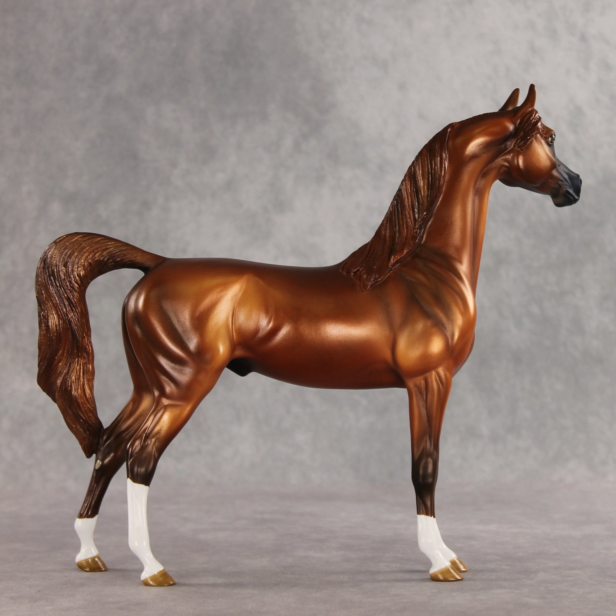 Cooper OOAK Arabian Stallion by Angela Marleau DDOOAKs26