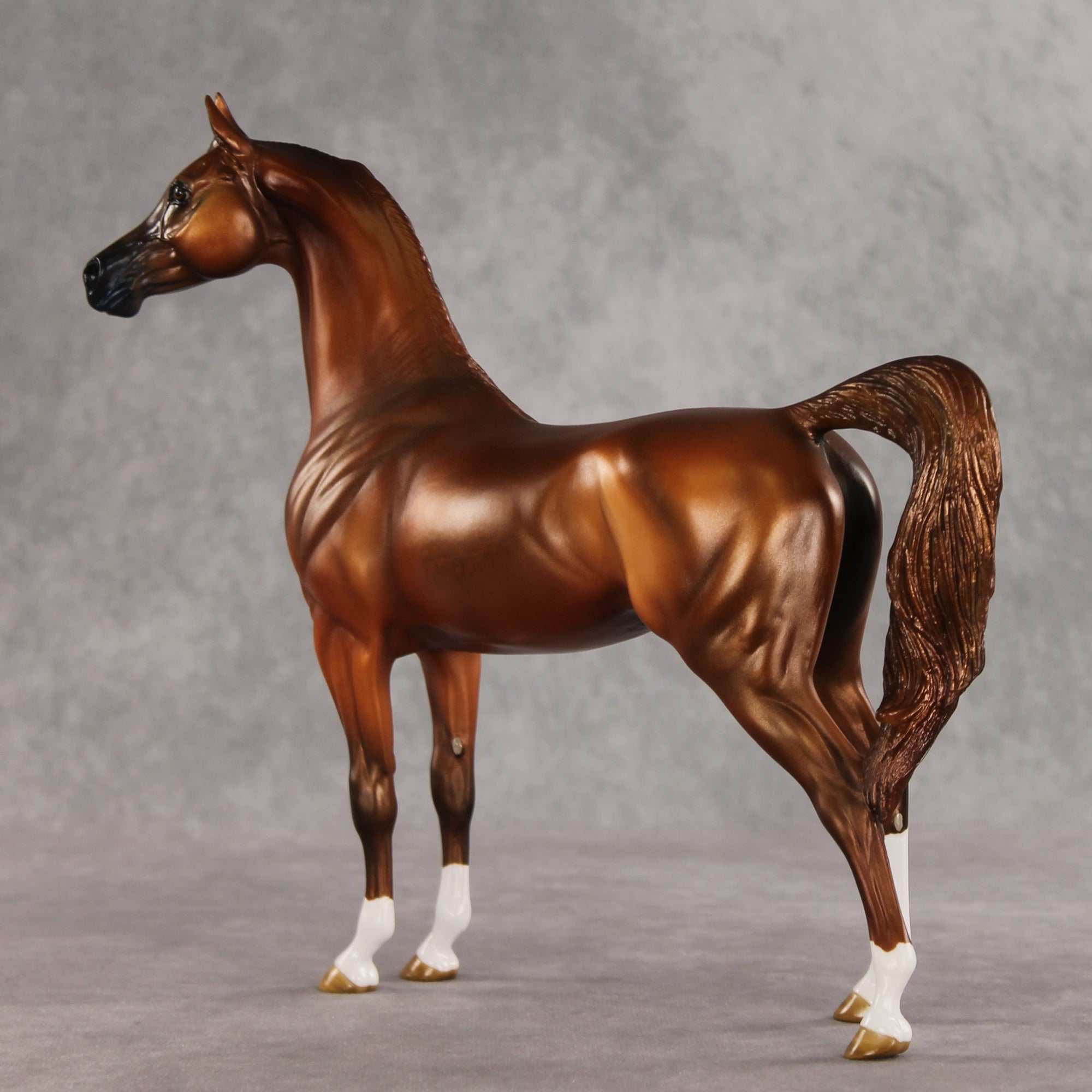 Cooper OOAK Arabian Stallion by Angela Marleau DDOOAKs26