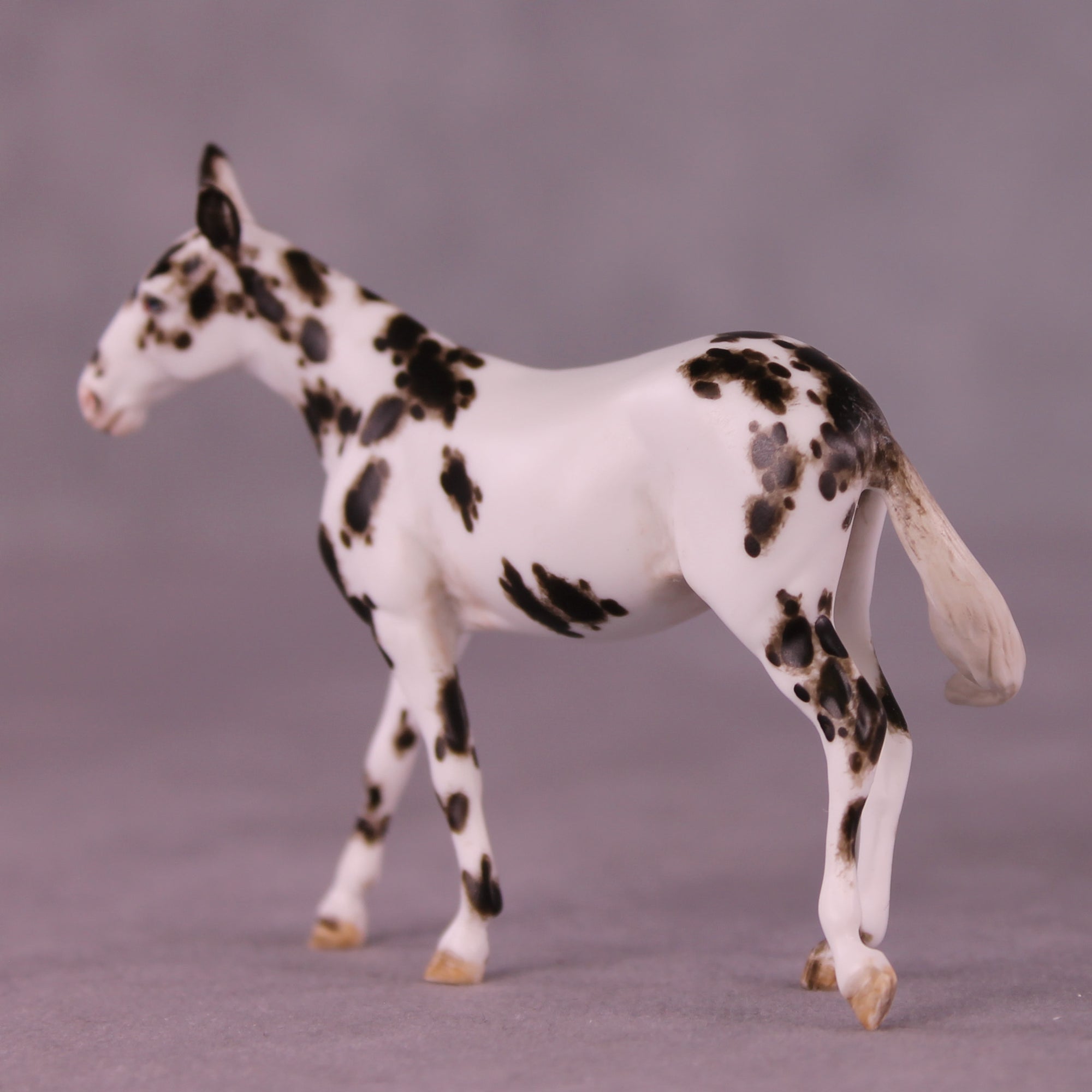 Vex OOAK FCM Chip Mule by Andrea Thomason MM25
