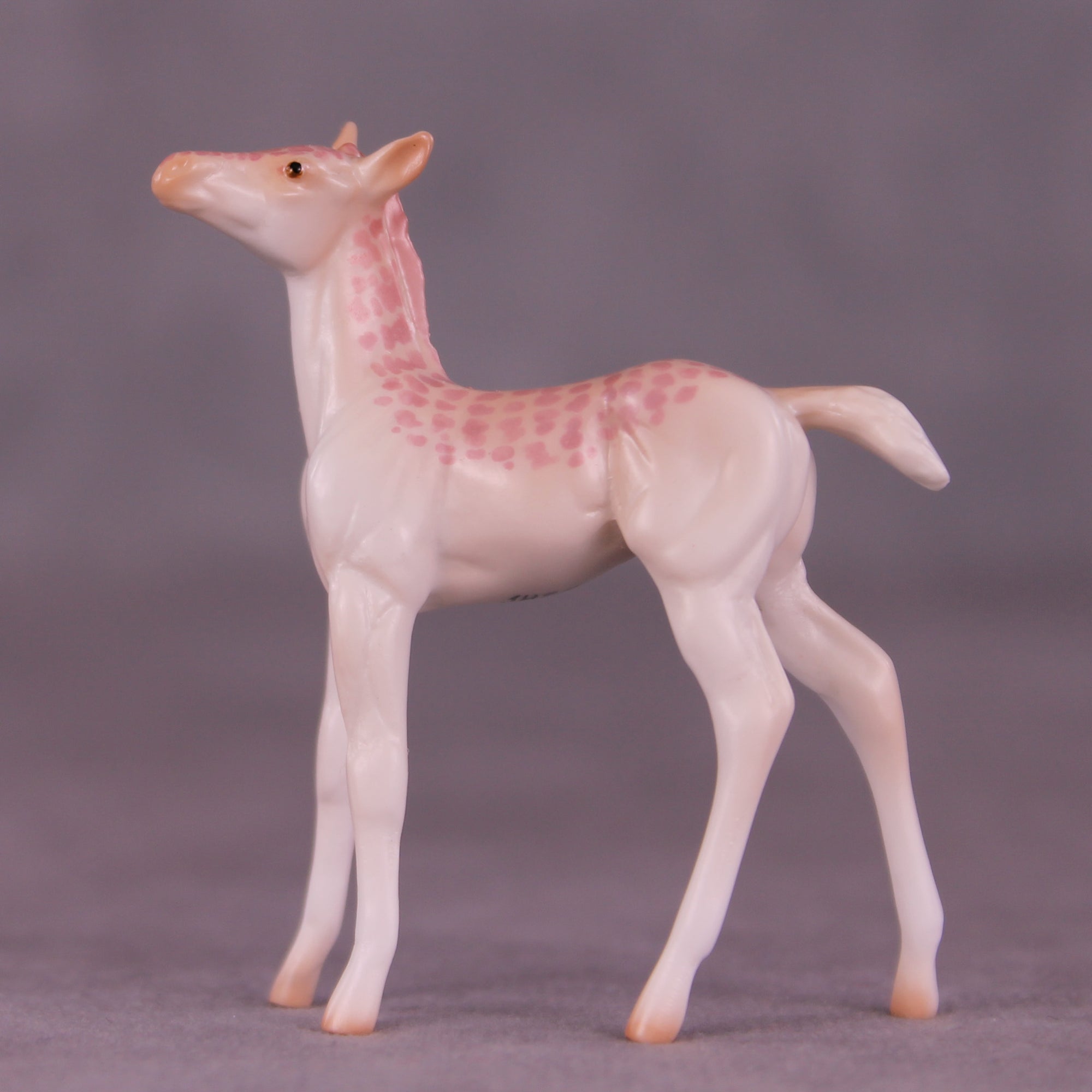 Pico Bonito LE-3 Chip Foal by Jess Hamill MS25