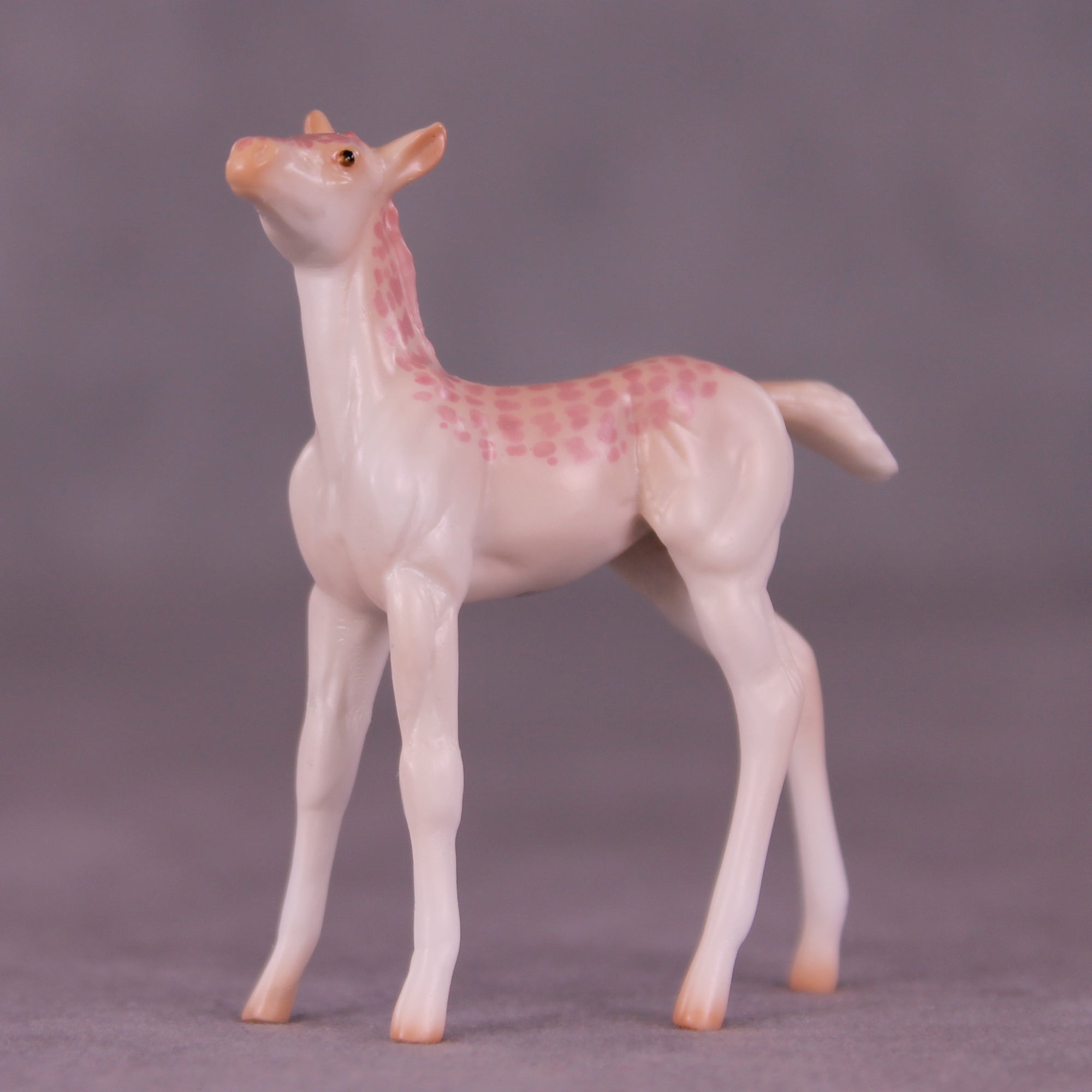 Pico Bonito LE-3 Chip Foal by Jess Hamill MS25