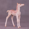 Pico Bonito LE-3 Chip Foal by Jess Hamill MS25