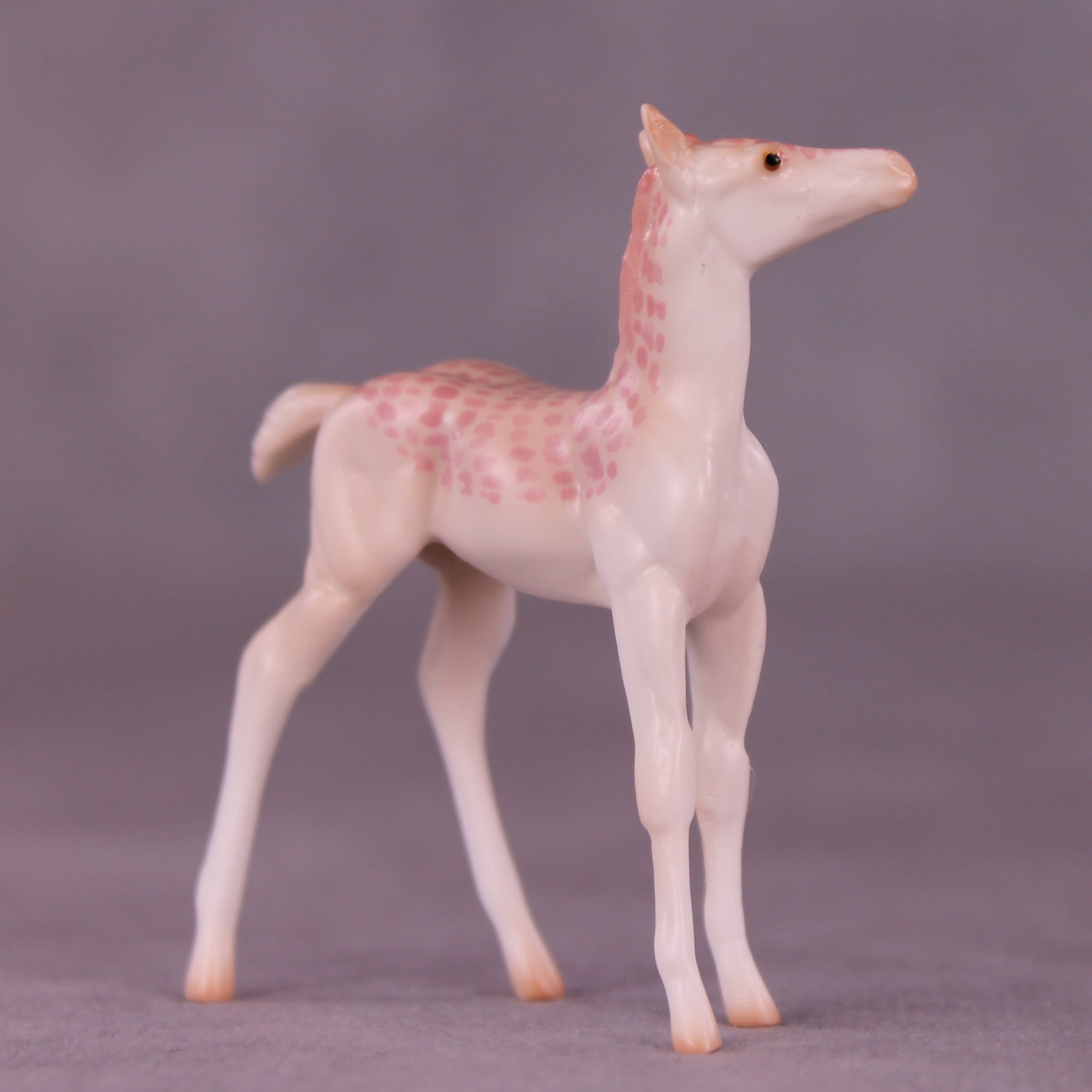 Pico Bonito LE-3 Chip Foal by Jess Hamill MS25