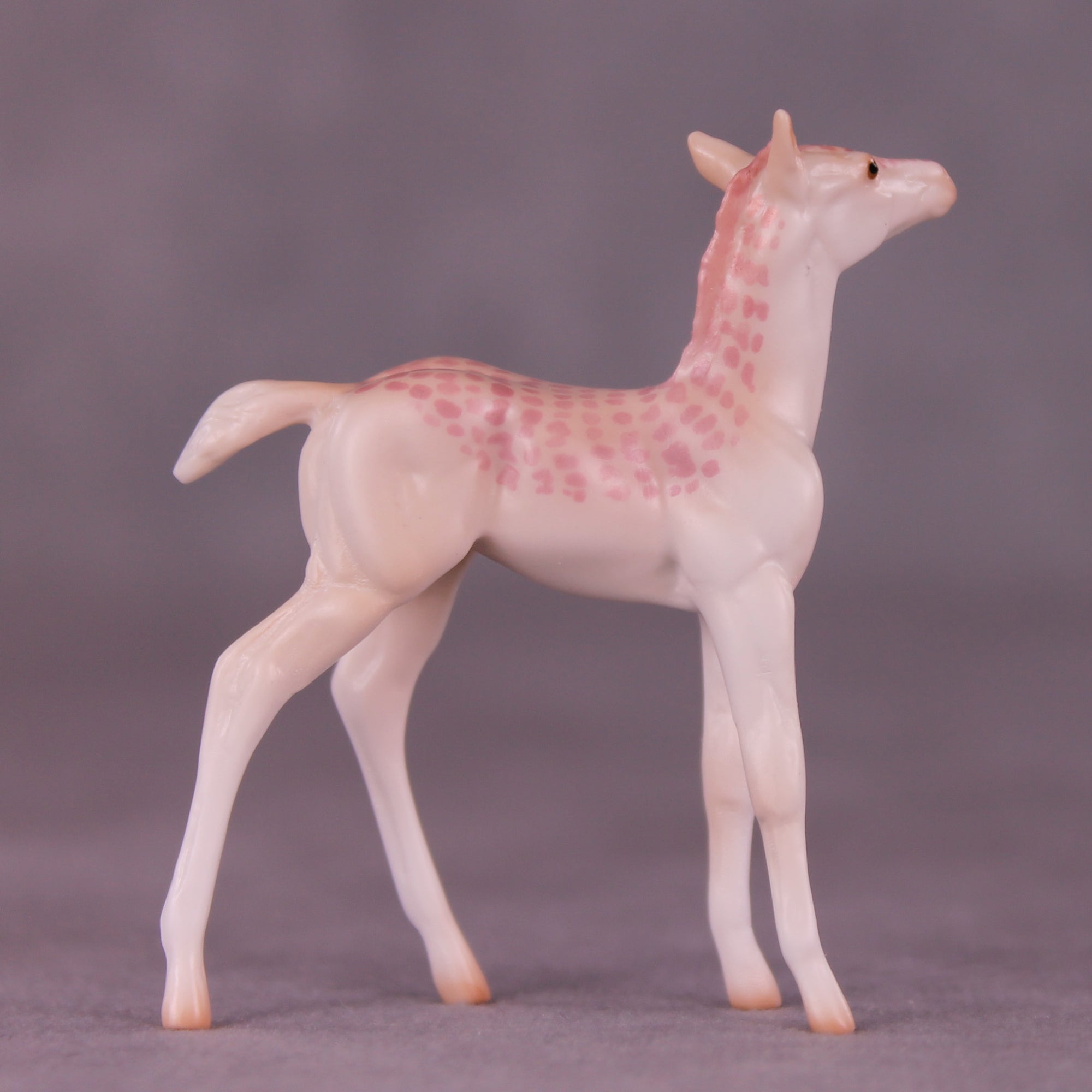 Pico Bonito LE-3 Chip Foal by Jess Hamill MS25