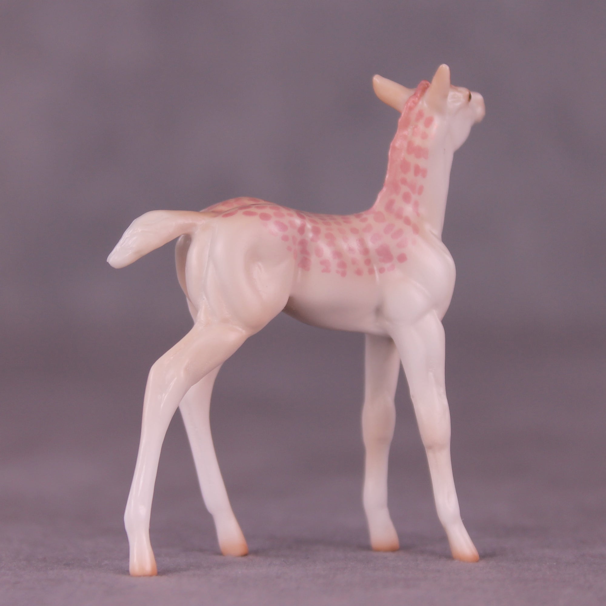 Pico Bonito LE-3 Chip Foal by Jess Hamill MS25