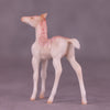 Pico Bonito LE-3 Chip Foal by Jess Hamill MS25