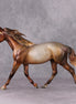 Biscotti LE-5 Chestnut Going Grey Custom Palouse By Julie Keim Holiday Sale Run HS24
