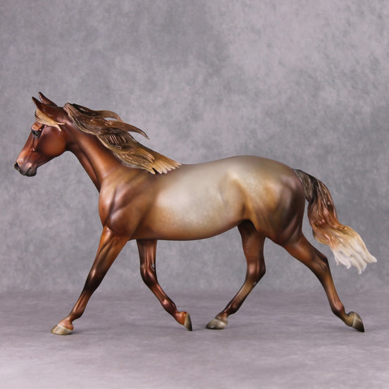 Biscotti LE-5 Chestnut Going Grey Custom Palouse By Julie Keim Holiday Sale Run HS24