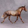 Biscotti LE-5 Chestnut Going Grey Custom Palouse By Julie Keim Holiday Sale Run HS24