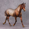 Biscotti LE-5 Chestnut Going Grey Custom Palouse By Julie Keim Holiday Sale Run HS24