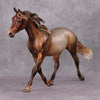 Biscotti LE-5 Chestnut Going Grey Custom Palouse By Julie Keim Holiday Sale Run HS24