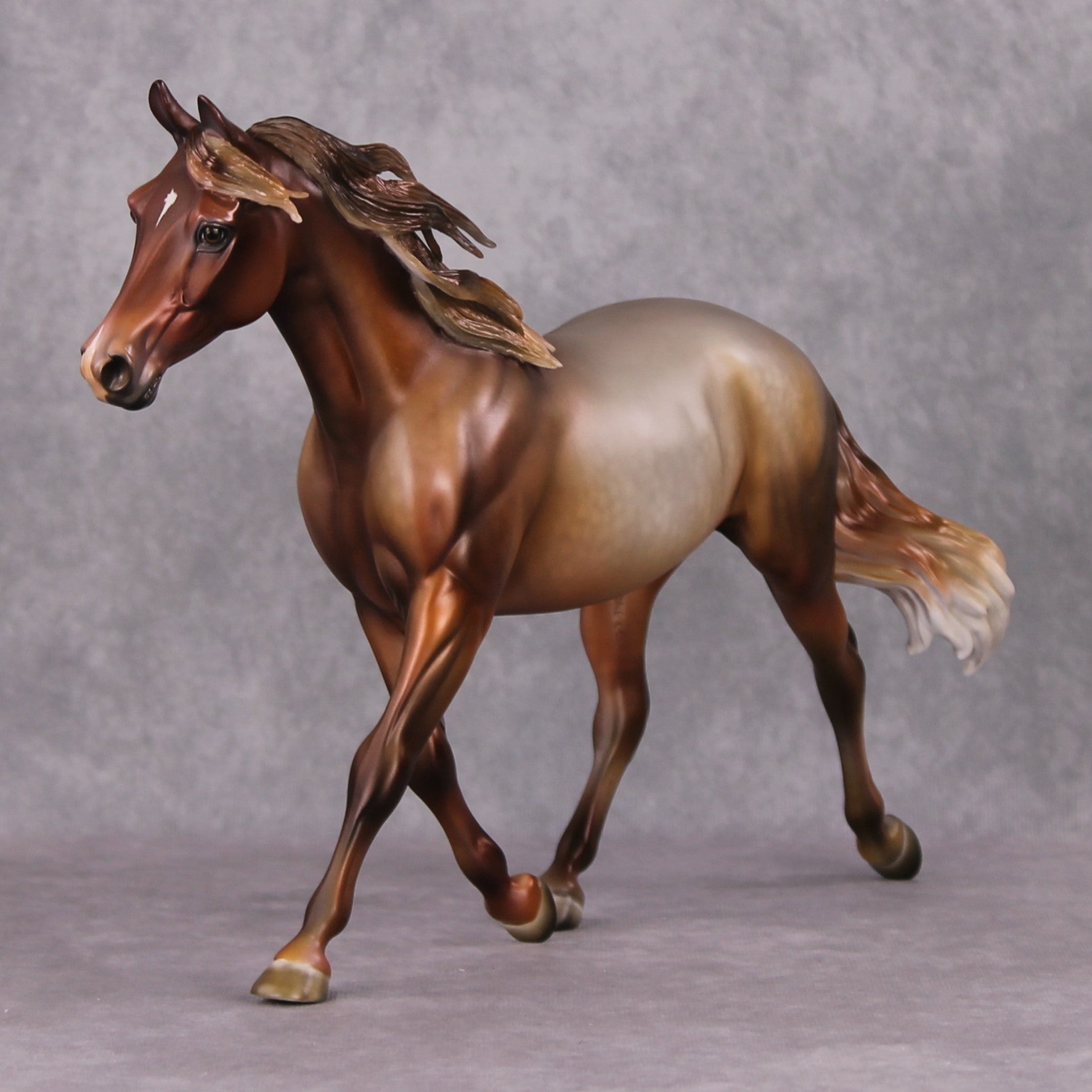 Biscotti LE-5 Chestnut Going Grey Custom Palouse By Julie Keim Holiday Sale Run HS24