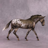 &quot;Stanislavski&quot; OOAK FCM Irish Draught by Julie Keim SHCF25