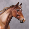 Biscotti LE-5 Chestnut Going Grey Custom Palouse By Julie Keim Holiday Sale Run HS24