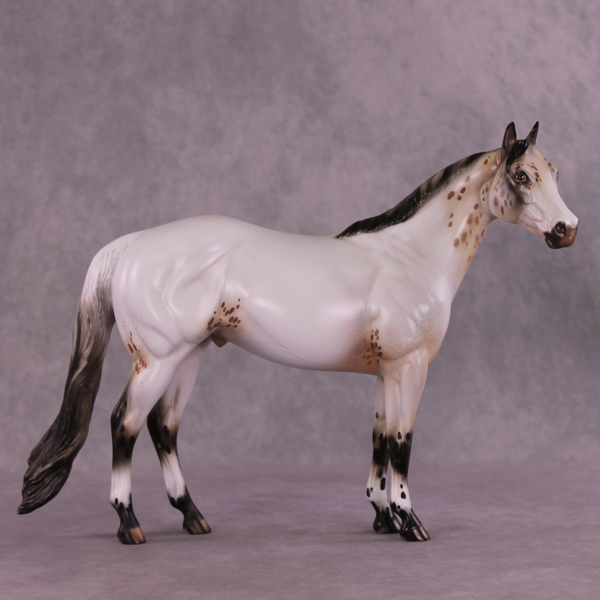Pasamonte OOAK Ideal Stock Horse by Julie Keim DDOOAKs25