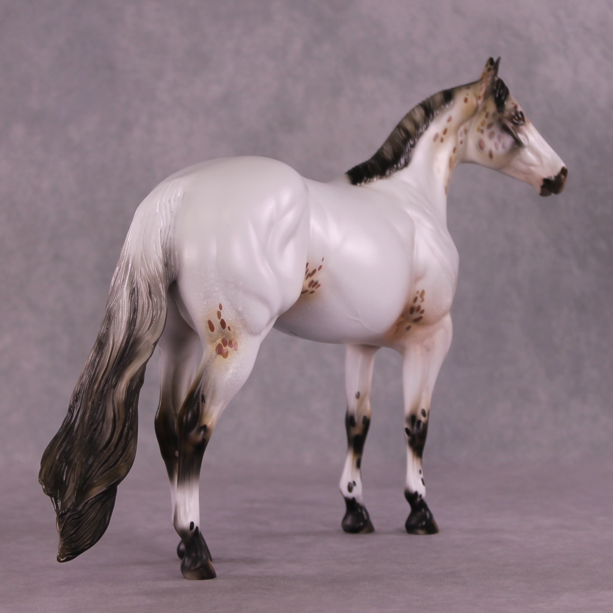 Pasamonte OOAK Ideal Stock Horse by Julie Keim DDOOAKs25