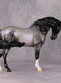 Winter Wizard LE-5 Pearly Blue Roan with Lacing Extreme Custom Andalusian by Ellen Robbins Holiday Sale Run HS24