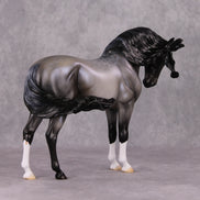 Winter Wizard LE-5 Pearly Blue Roan with Lacing Extreme Custom Andalusian by Ellen Robbins Holiday Sale Run HS24