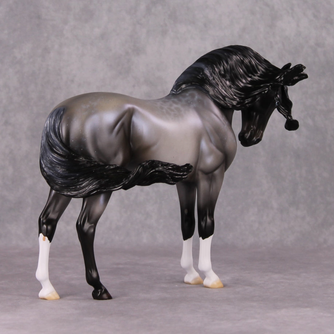 Winter Wizard LE-5 Pearly Blue Roan with Lacing Extreme Custom Andalusian by Ellen Robbins Holiday Sale Run HS24
