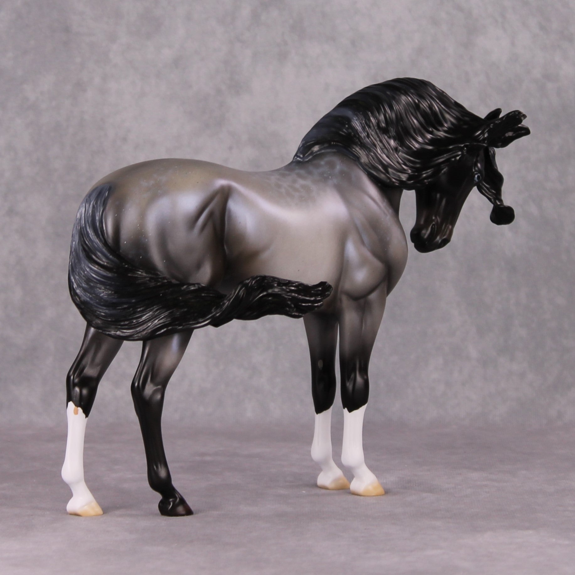 Winter Wizard LE-5 Pearly Blue Roan with Lacing Extreme Custom Andalusian by Ellen Robbins Holiday Sale Run HS24