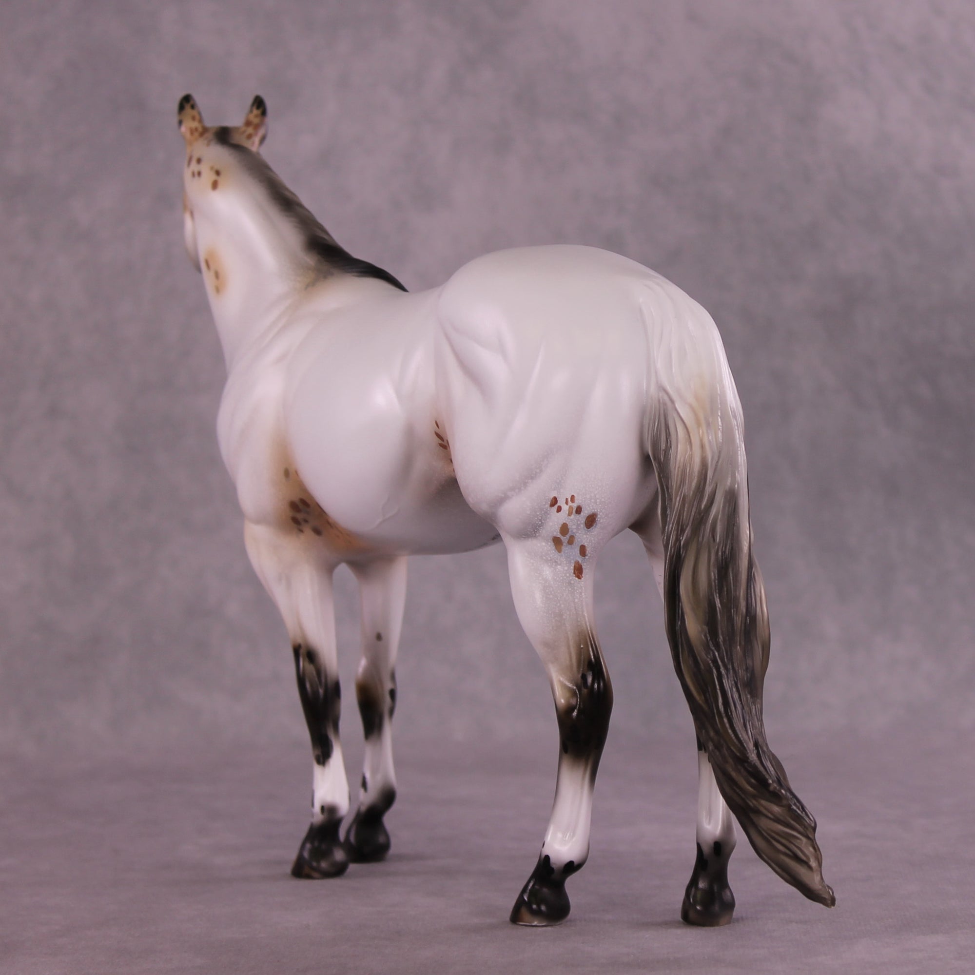 Pasamonte OOAK Ideal Stock Horse by Julie Keim DDOOAKs25