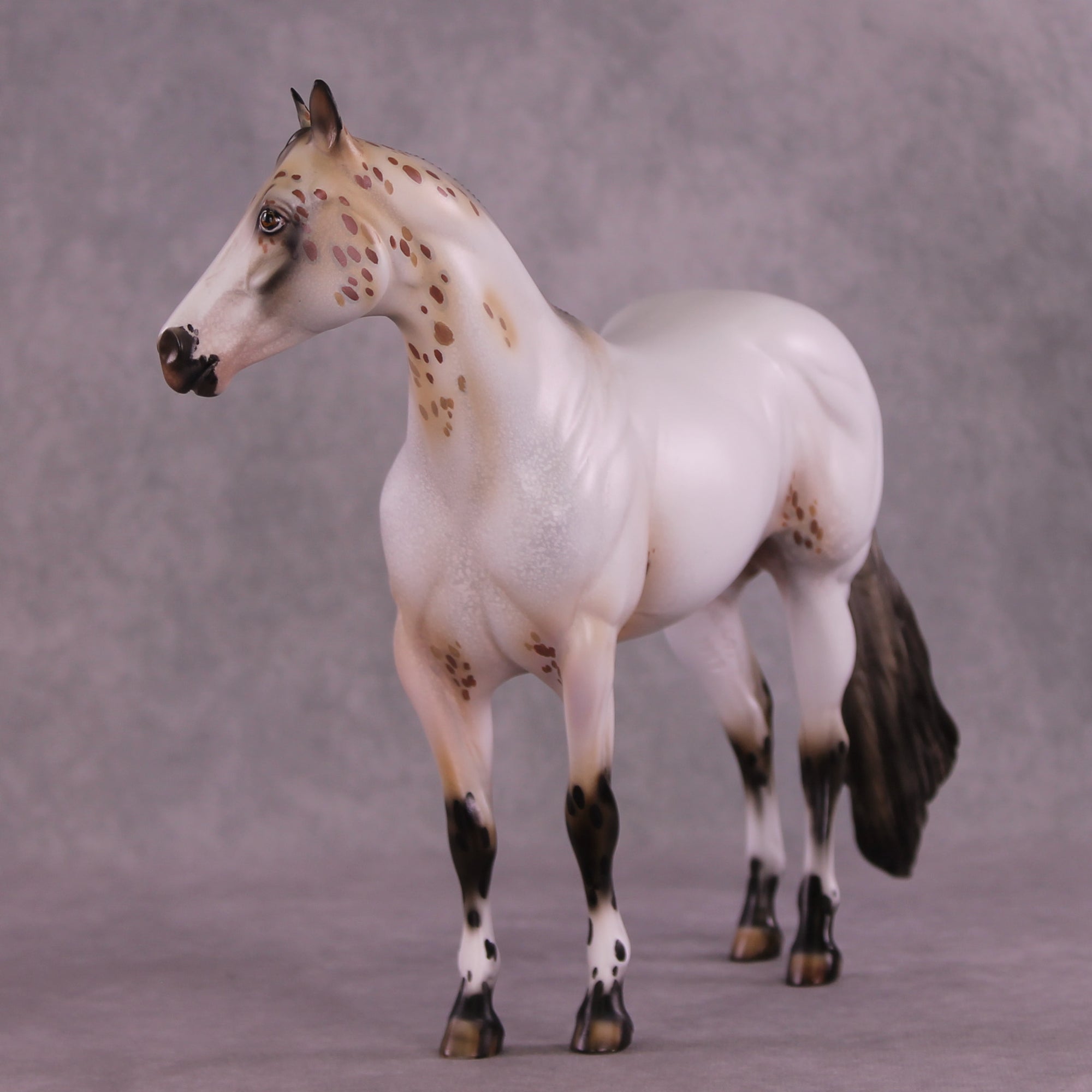 Pasamonte OOAK Ideal Stock Horse by Julie Keim DDOOAKs25