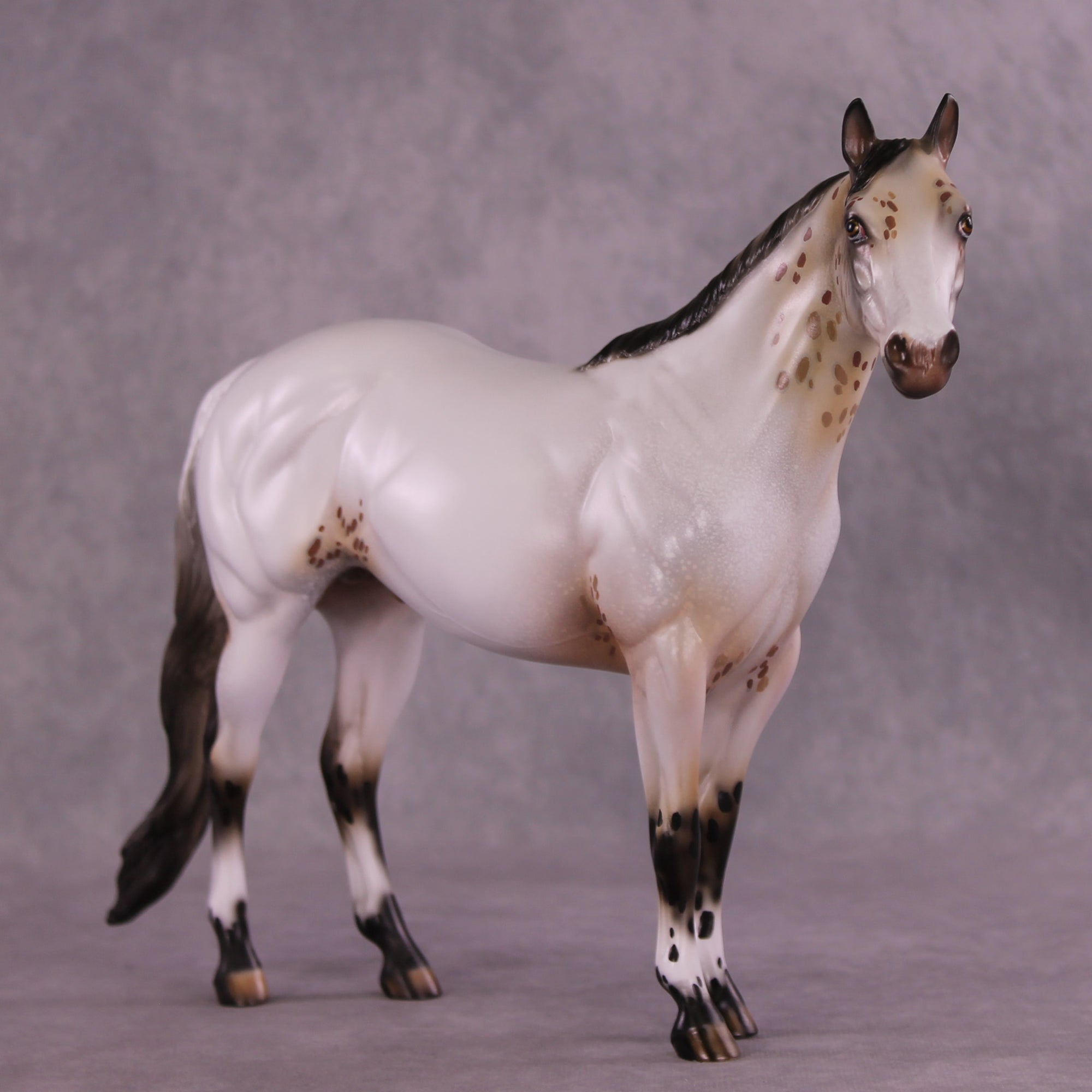 Pasamonte OOAK Ideal Stock Horse by Julie Keim DDOOAKs25