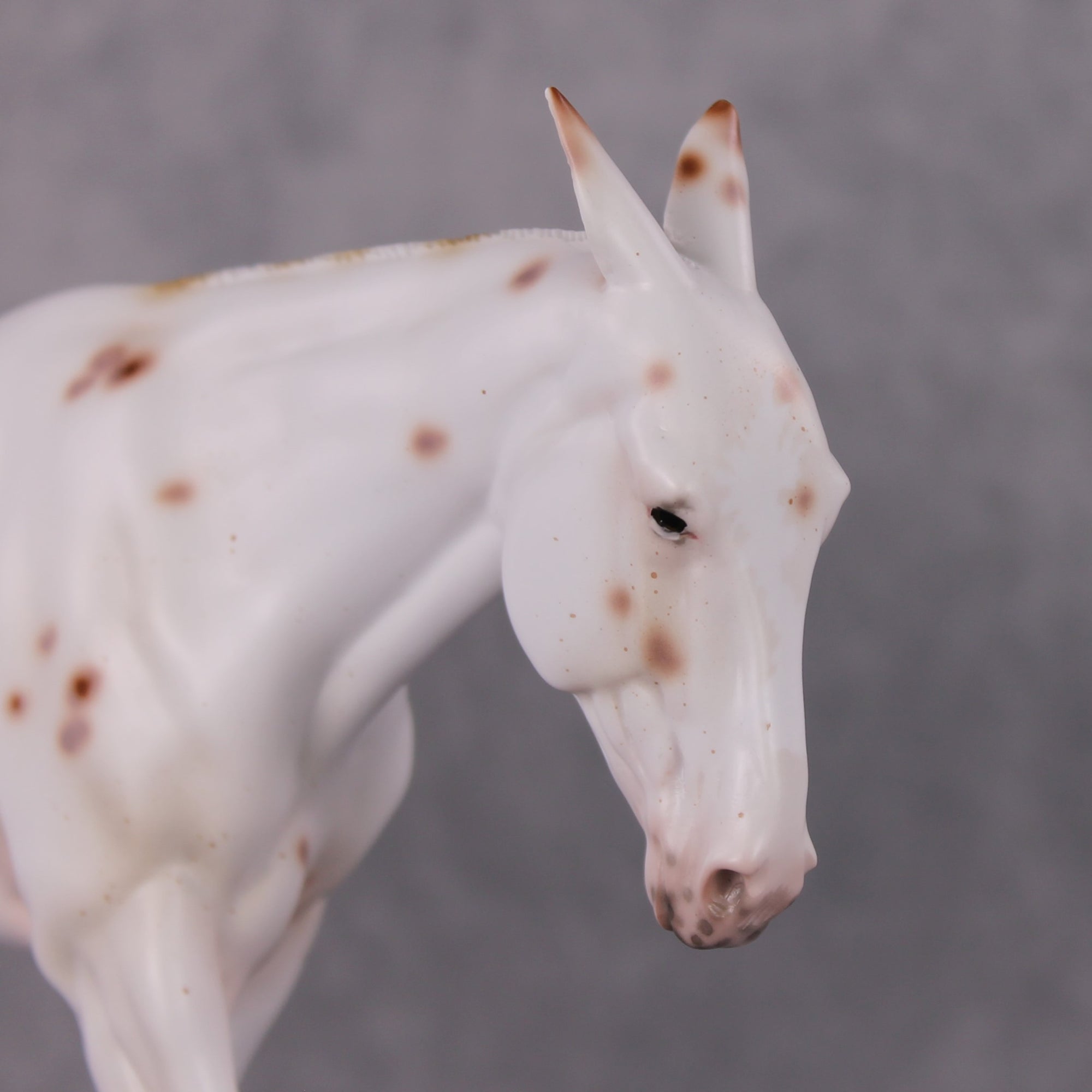 Spice Drop LE-3 Chestnut Leopard Appy Pinned Eared Mule by Ellen Robbins Holiday Sale Run HS24