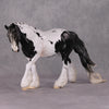 Hyperborea LE-10 Black Tobiano W/ Braided Mane &amp; Forelock Irish Cob By Jess Hamill Holiday Sale Run HS24