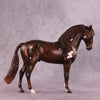 &quot;Romero&quot; OOAK FCM Andalusian by Ashley Palmer EQ25
