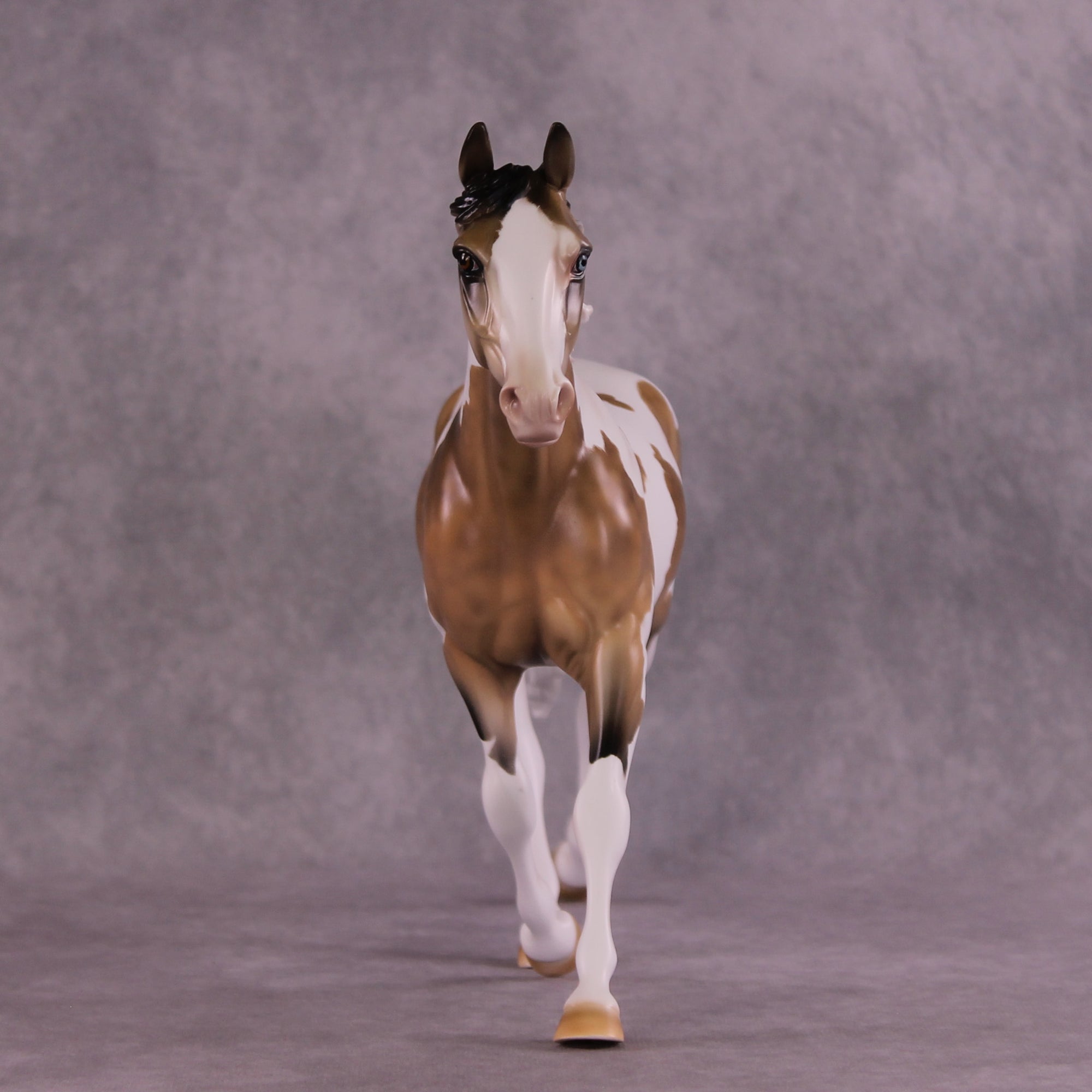 The Monarch OOAK Palouse by Mindy Berg Best Offer 9/30/25