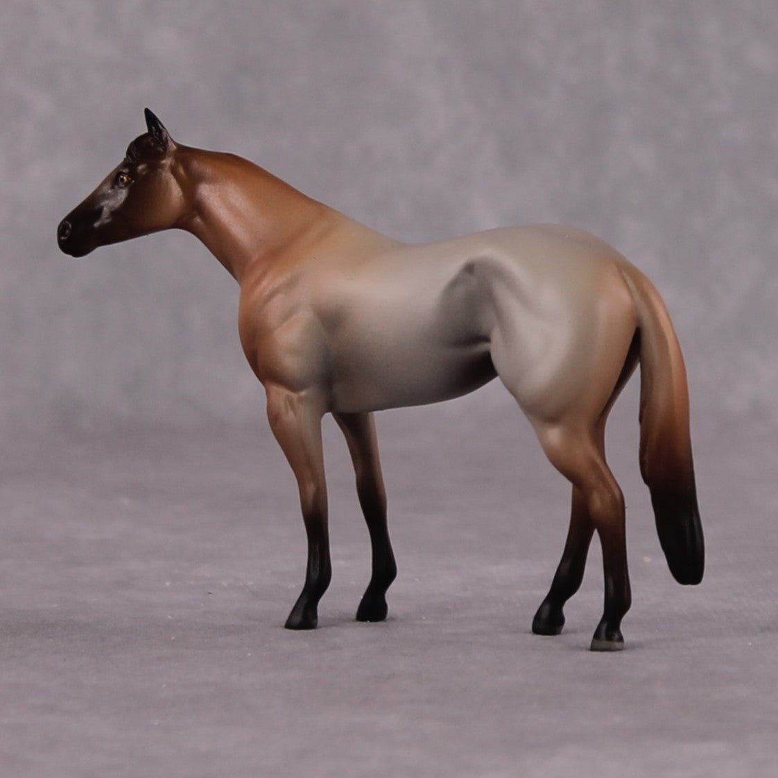 "Cyclopes" LE-4 Ideal Stock Horse Chip By Jamie Adamson $99 Chips Sale 04/01/2025