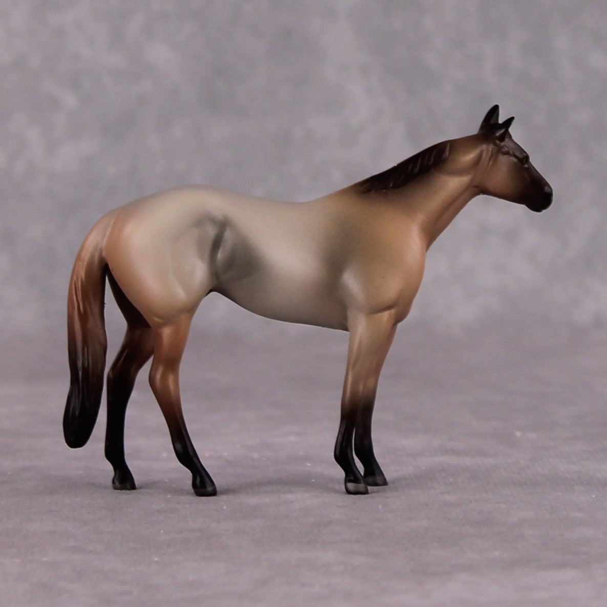 "Cyclopes" LE-4 Ideal Stock Horse Chip By Jamie Adamson $99 Chips Sale 04/01/2025