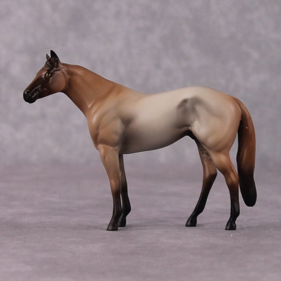 "Cyclopes" LE-4 Ideal Stock Horse Chip By Jamie Adamson $99 Chips Sale 04/01/2025
