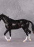 "Cassius" Pre-Order LE-15 FCM Thoroughbred By Ellen Robbins CL25