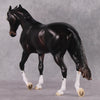 &quot;Cassius&quot; Pre-Order LE-15 FCM Thoroughbred By Ellen Robbins CL25