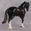 &quot;Cassius&quot; Pre-Order LE-15 FCM Thoroughbred By Ellen Robbins CL25