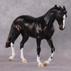 &quot;Cassius&quot; Pre-Order LE-15 FCM Thoroughbred By Ellen Robbins CL25