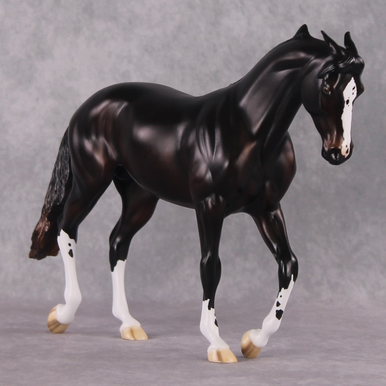 "Cassius" Pre-Order LE-15 FCM Thoroughbred By Ellen Robbins CL25