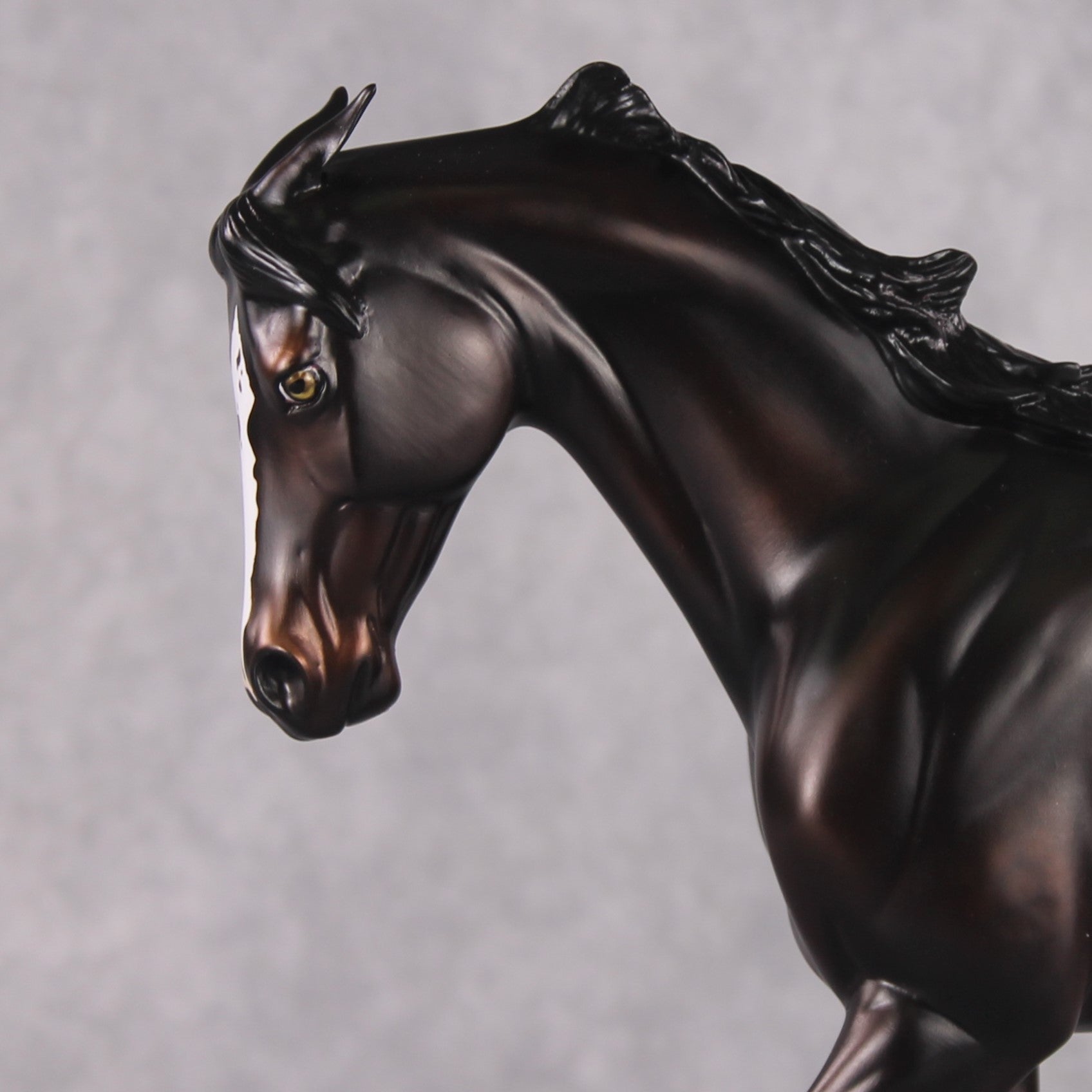 "Cassius" Pre-Order LE-15 FCM Thoroughbred By Ellen Robbins CL25