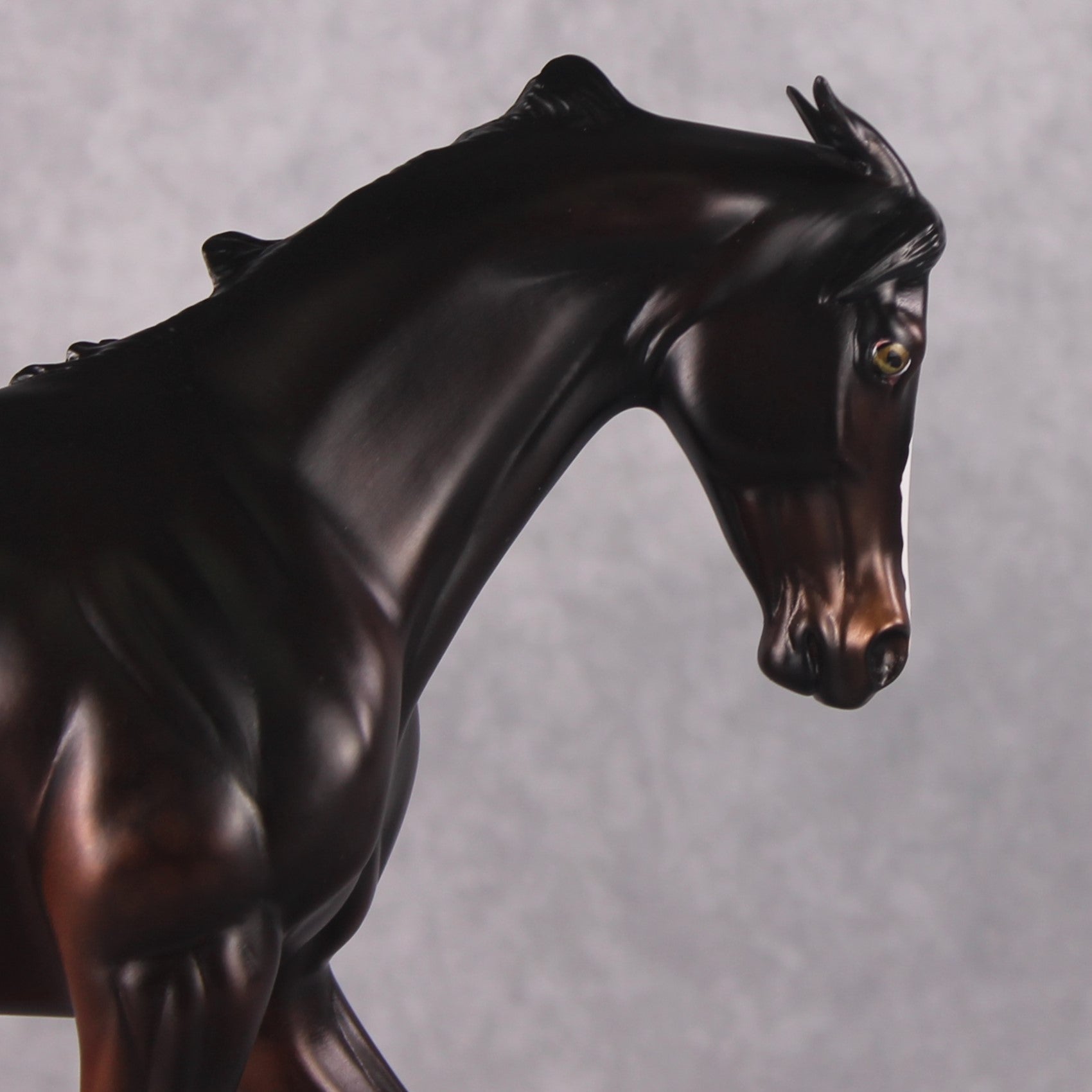 "Cassius" Pre-Order LE-15 FCM Thoroughbred By Ellen Robbins CL25