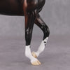 &quot;Cassius&quot; Pre-Order LE-15 FCM Thoroughbred By Ellen Robbins CL25